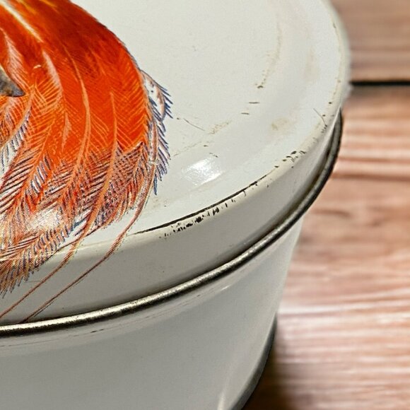 Vintage Birds of Paradise Empty Cookie Cake Tin White Round Farmhouse Decor - Picture 6 of 6